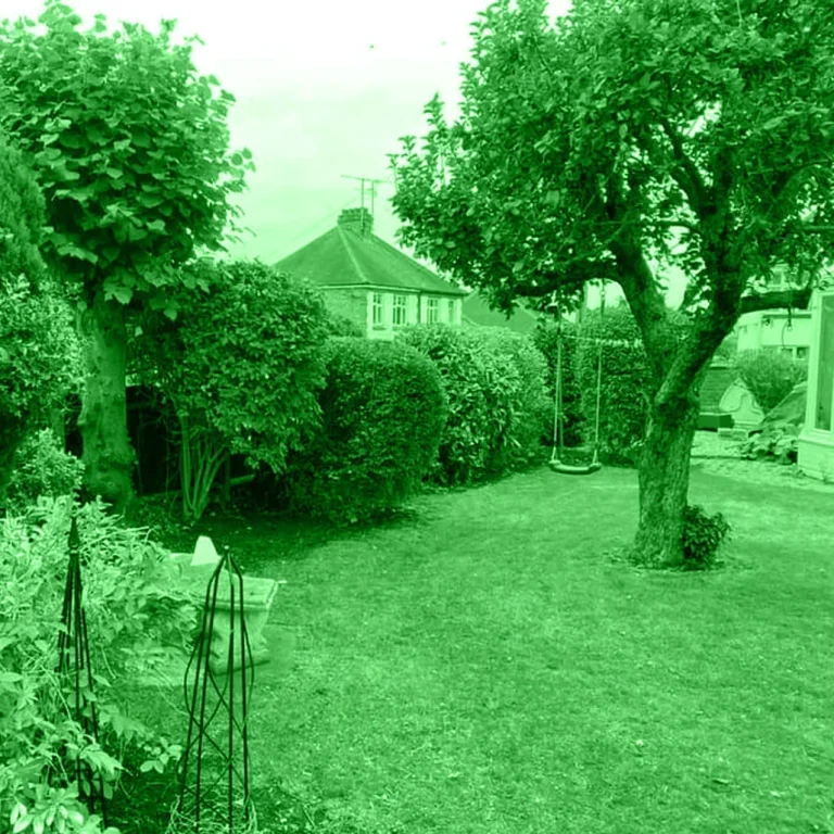 Northamptonshire Gardening