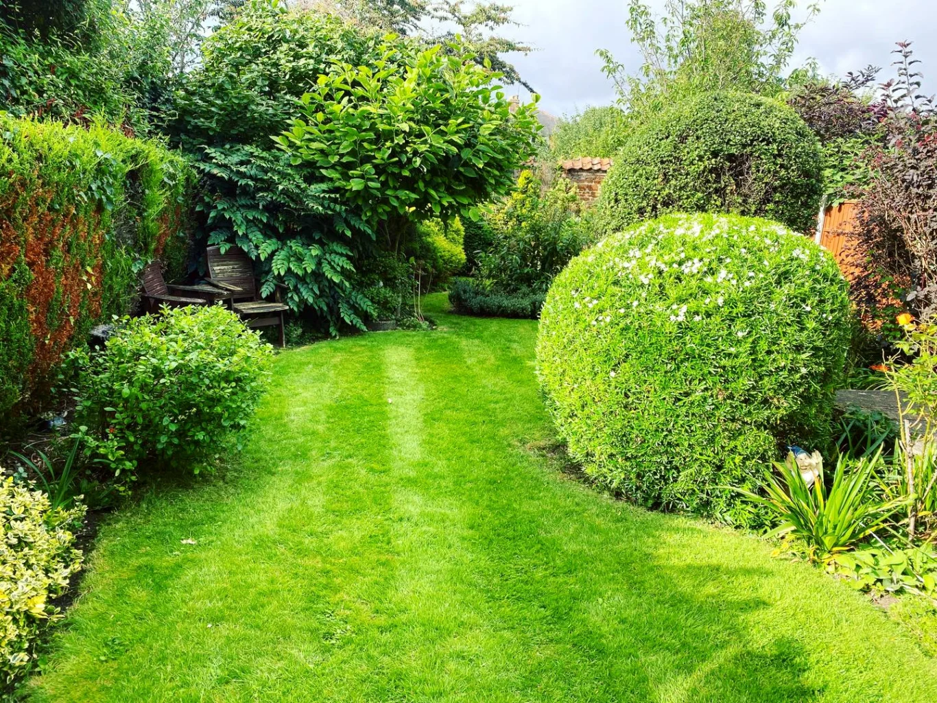 Garden Maintenance Northants Lush green garden with neatly trimmed hedges and manicured grass pathways.