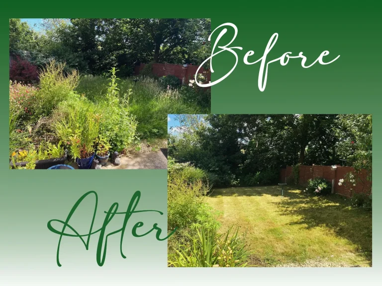 Vegetation Clearance Northants