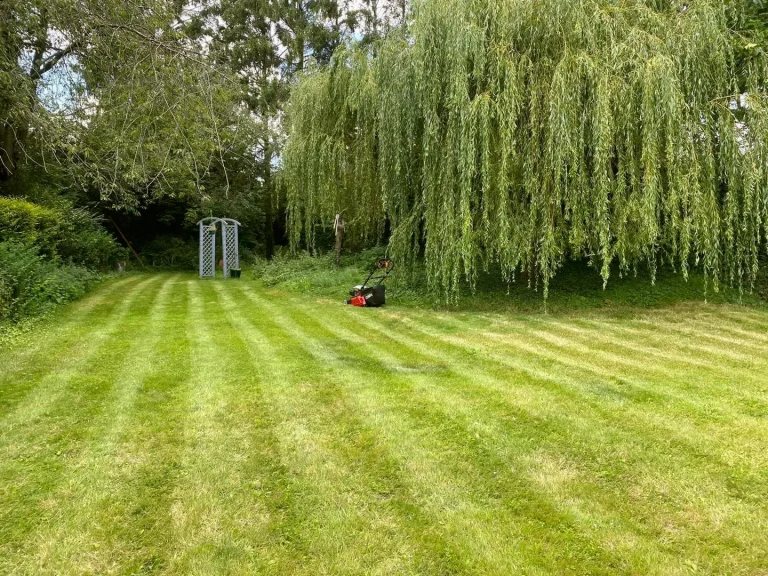 Lawn Mowing Northamptonshire