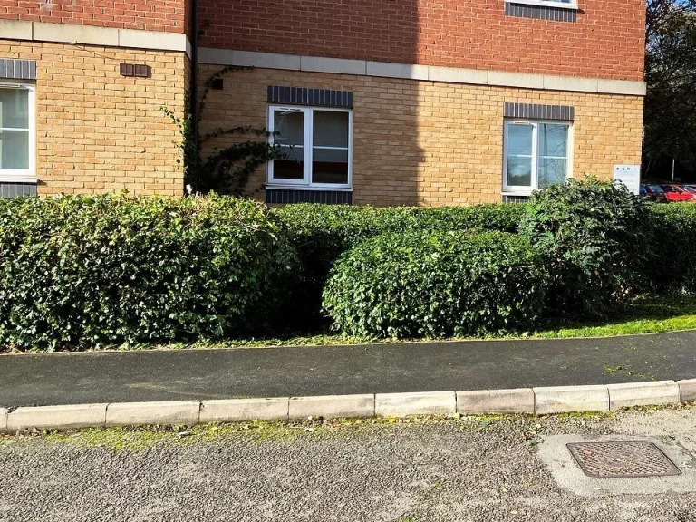 Hedge Trimming Northants